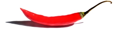 papryka-banner