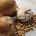 Placki z ciecierzycą - składniki Placki z ciecierzycą - składniki