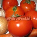 Zupa pomidorowa - składniki Zupa pomidorowa - składniki